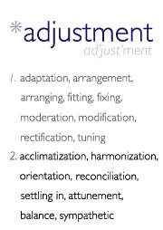 adaptation,arrangement, orientation, settling in, balance